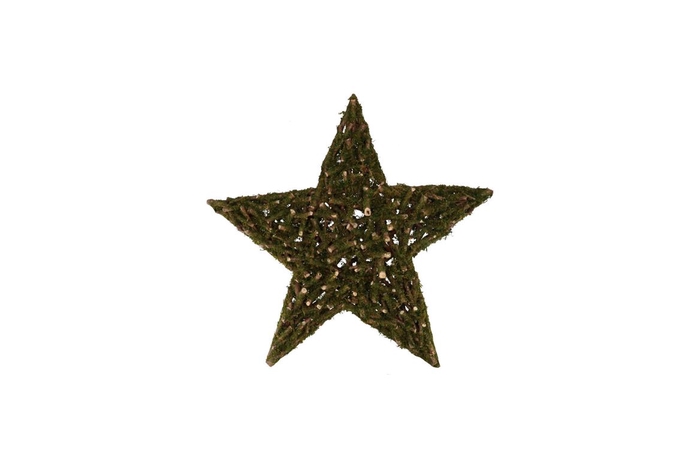 <h4>Festive Star Poplar Moss 40x40x7cm</h4>