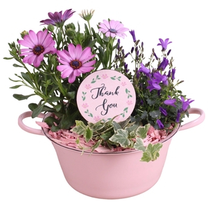 Mothersday Arr. Outdoor Zinc Bowl With Handles Pink Ø20cm 3PP