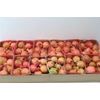 Sier Granaatappel Red Orange X10 P Box