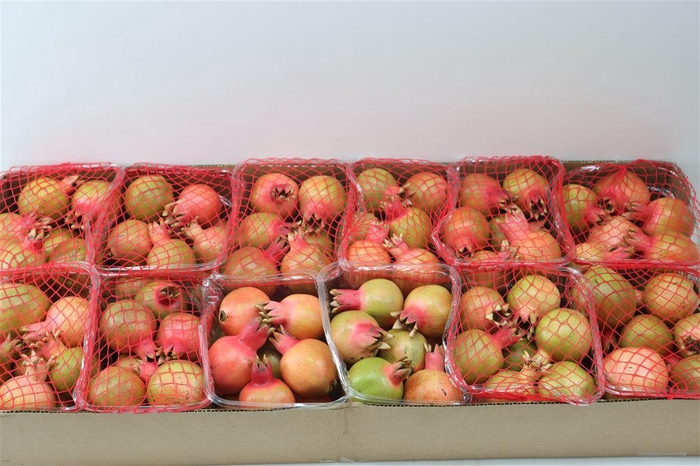 Sier Granaatappel Red Orange X10 P Box