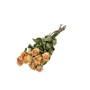 Dried flowers Rose 40cm x10