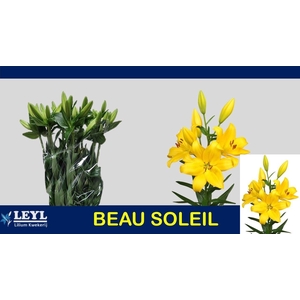 LI LA BEAU SOLEIL