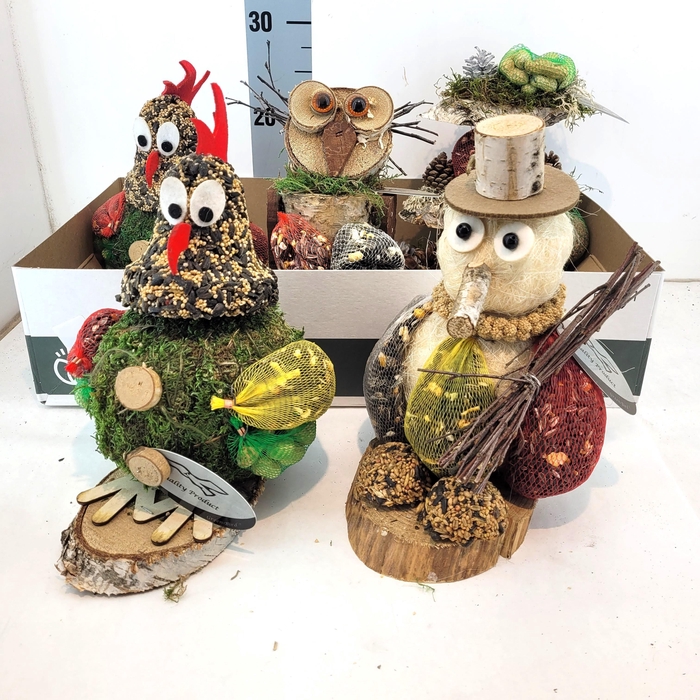 <h4>VOGELZ FIGUUR H%</h4>