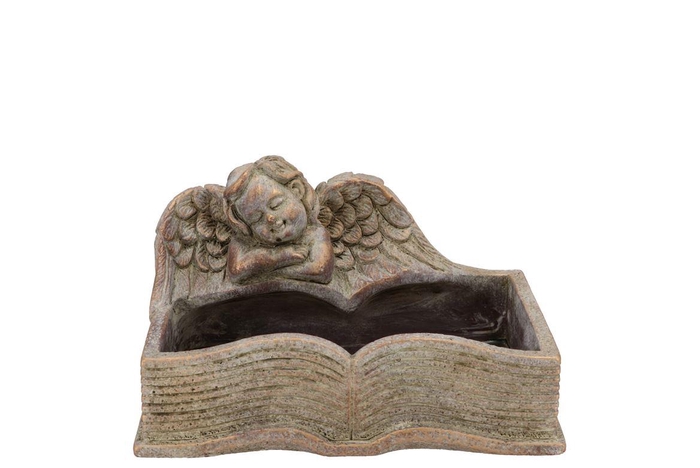 <h4>Concrete Golden Pot Angel Book 23x17x14cm</h4>