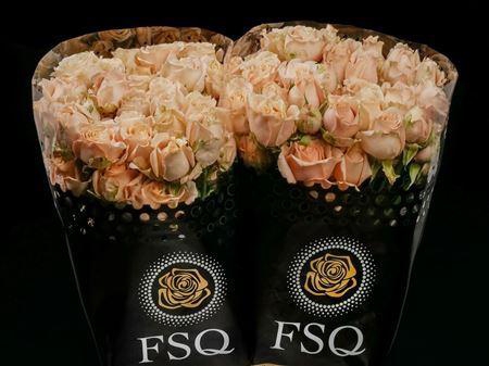 <h4>Spray Sahara Sensation</h4>