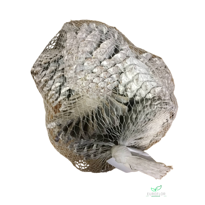 <h4>DENAPPEL MARITIMA HALF STONE WASHED WHITE 12PCS</h4>