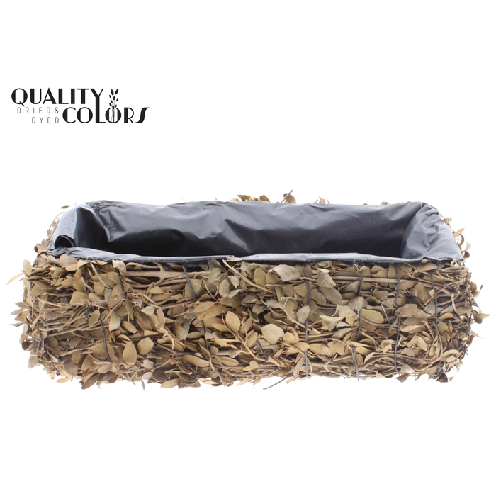 <h4>Planter Rectangular Pinar L35 cm B15cm</h4>