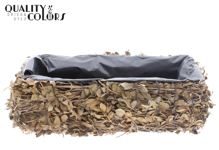 Planter Rectangular Pinar L35 cm B15cm