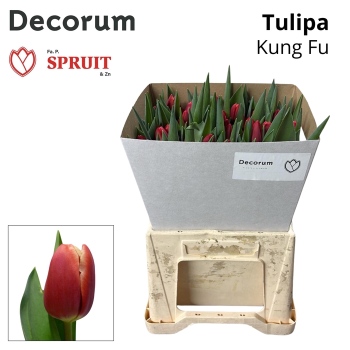 <h4>TU EN KUNG-FU Kraag 50</h4>