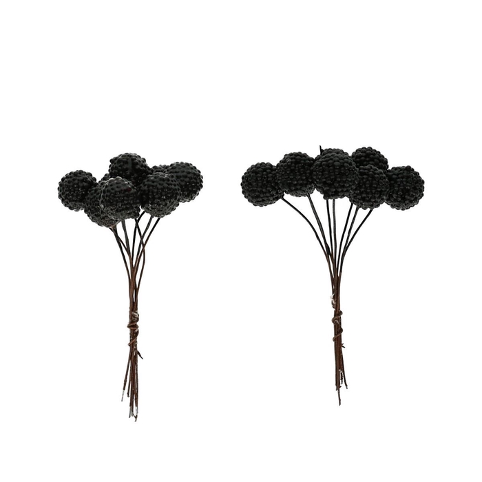 <h4>Herfst Braam/draad d1.5cm x64</h4>