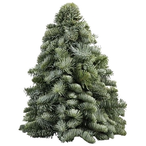 Kerstboom L4