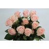Rosa Garden Novia