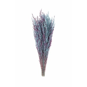 Dried Artz Rice Grass Rubens Bunch