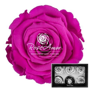 Lplus Pin07