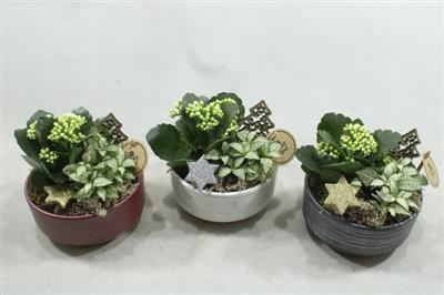 <h4>0120 Ker Schaal Mix</h4>