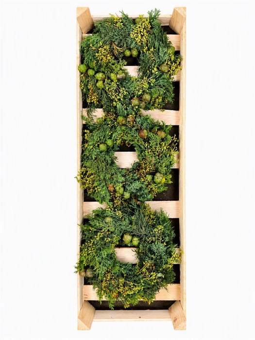 <h4>Wr Exotica Pinecone 30cm</h4>