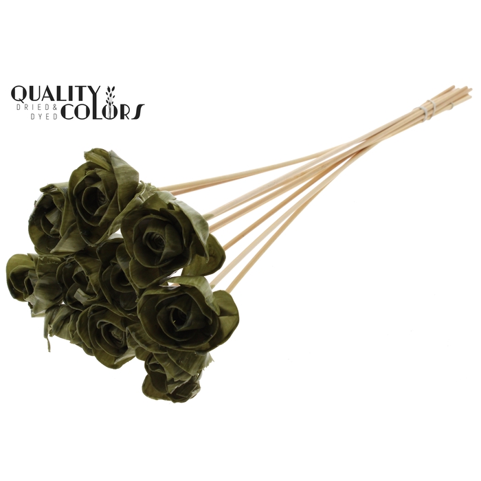 <h4>Shola Dear Holly 6cm on stem Wax Olive</h4>