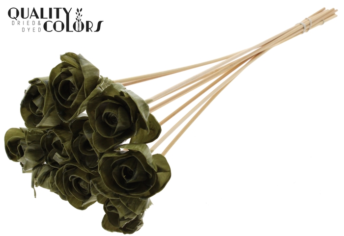 Shola Dear Holly 6cm on stem Wax Olive