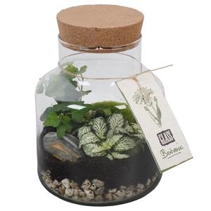 PTGIG2167 Arrangement Greens in glass in glazen terrarium