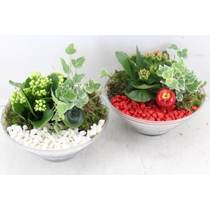 arr2 PL - Glas ribbel schaal - rood/wit