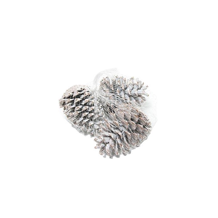 <h4>Pinecone Maritima L10/12 15 Pcs</h4>