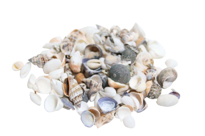 Shell Mix 2kg