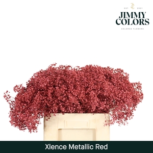 Gyps xlence L60 Mtlc. Red