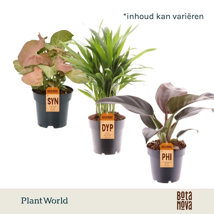 <h4>Groenmix (diverse soorten)</h4>
