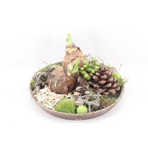 arr4 Amaryllis MB - Luxe schotel L 2bol