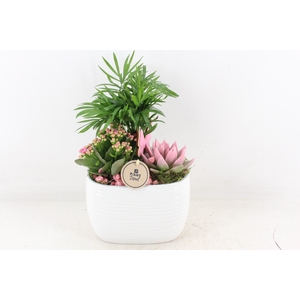 arr2 PL - Ker. ovaal modern wit - roze