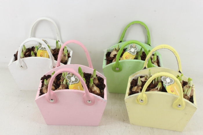 <h4>arr4 Narcis PL - Hout tas colour mix</h4>