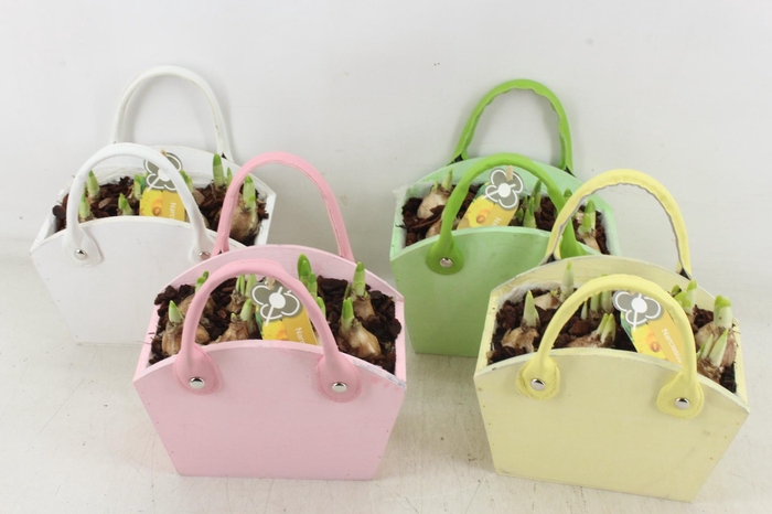 <h4>arr4 Narcis PL - Hout tas colour mix</h4>