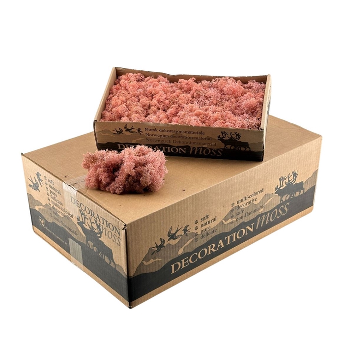 Ijslandsmos Licht Roze