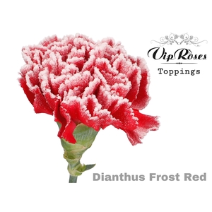 Di St Frost Red