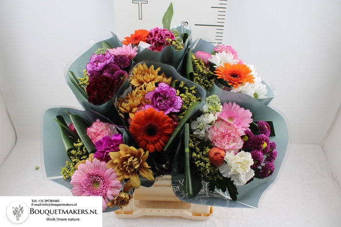 <h4>GEM BOEKET OV</h4>