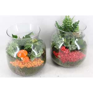 arr2 PL - Glas candy x2 - rood/oranje