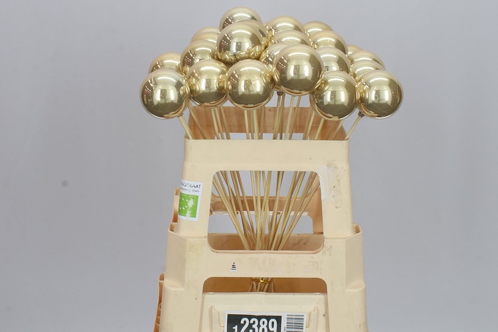 <h4>X-mas Balls Champagne Pearl X25</h4>
