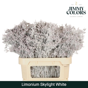 Lim Skylight L80 White