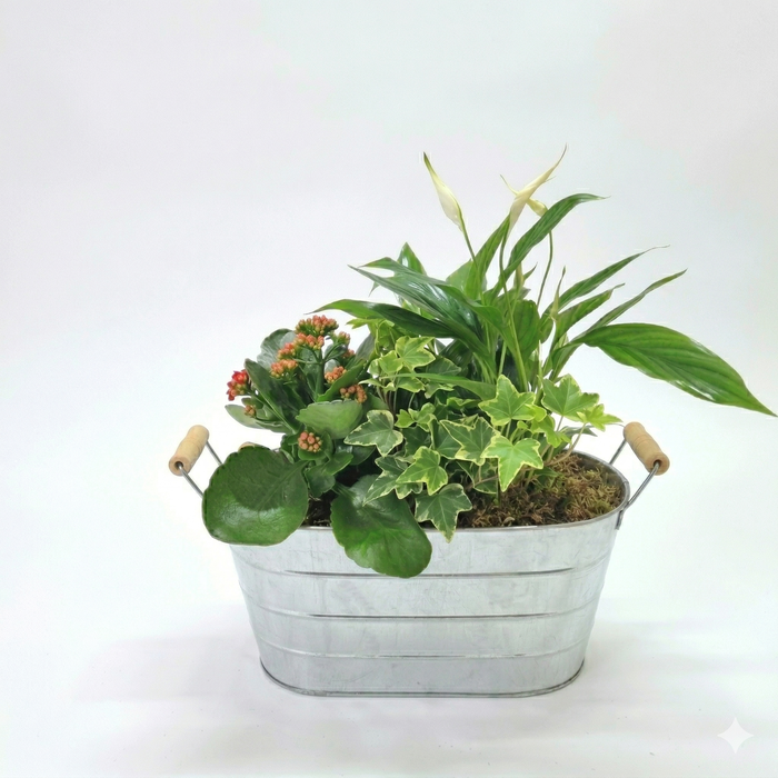 <h4>assemblage pot zinc</h4>