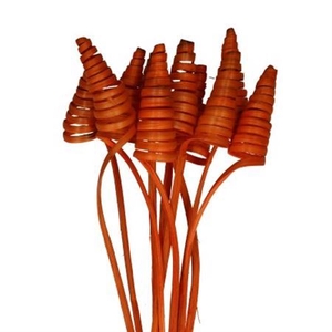 Stem Cane Cone 10 Pcs