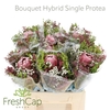 Bouquet Hybrid Single Protea
