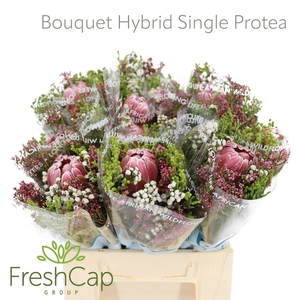 Bouquet Hybrid Single Protea