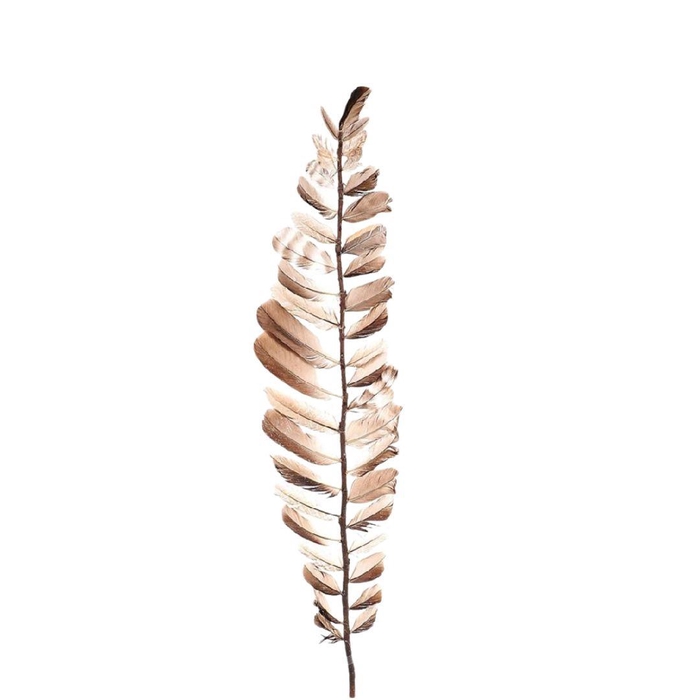 <h4>Homedeco Feather brach Aparani 80cm</h4>