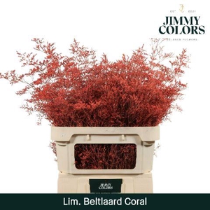 Lim Bel L90 Coral