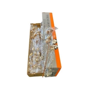 Gos Hirsutum Wit 60 Cm