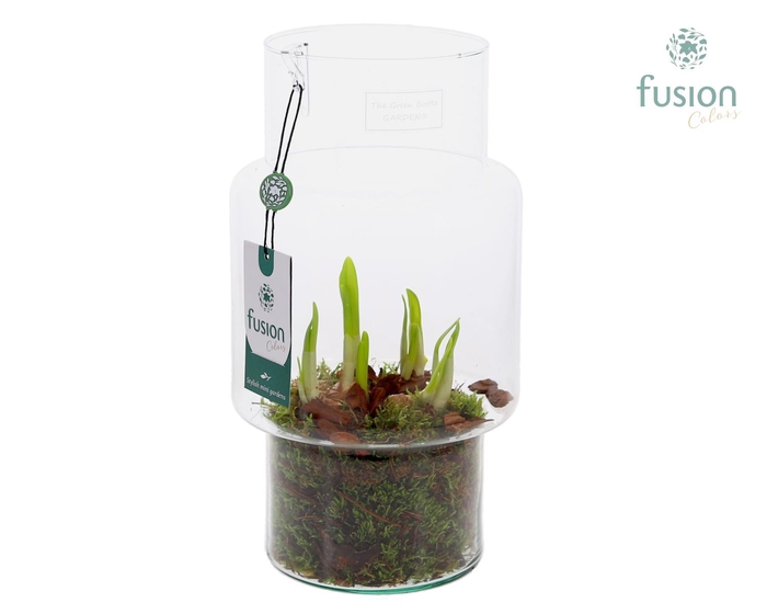 <h4>Green Bottle Sara Medium met Narcissus</h4>