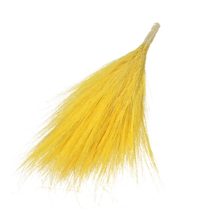 Dried flowers Goat grass 65-70cm