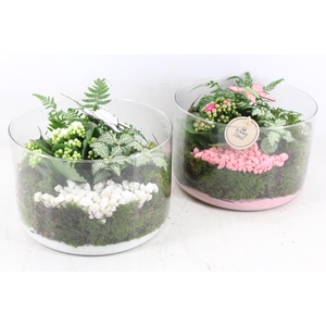 arr2 PL - Glas cilin. 401/2 - roze/wit