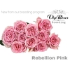 R GR REBELLION PINK
