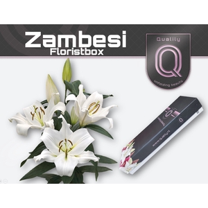 LI OT ZAMBESI FLORISTBOX 4+